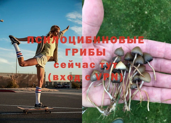 мяу мяу мука Осташков