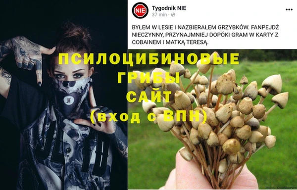 мяу мяу мука Осташков
