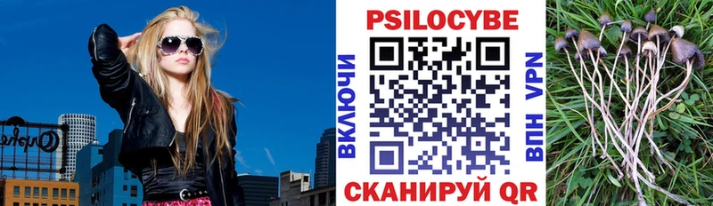 ОМГ ОМГ tor  Петропавловск-Камчатский  Псилоцибиновые грибы GOLDEN TEACHER  дарнет шоп 