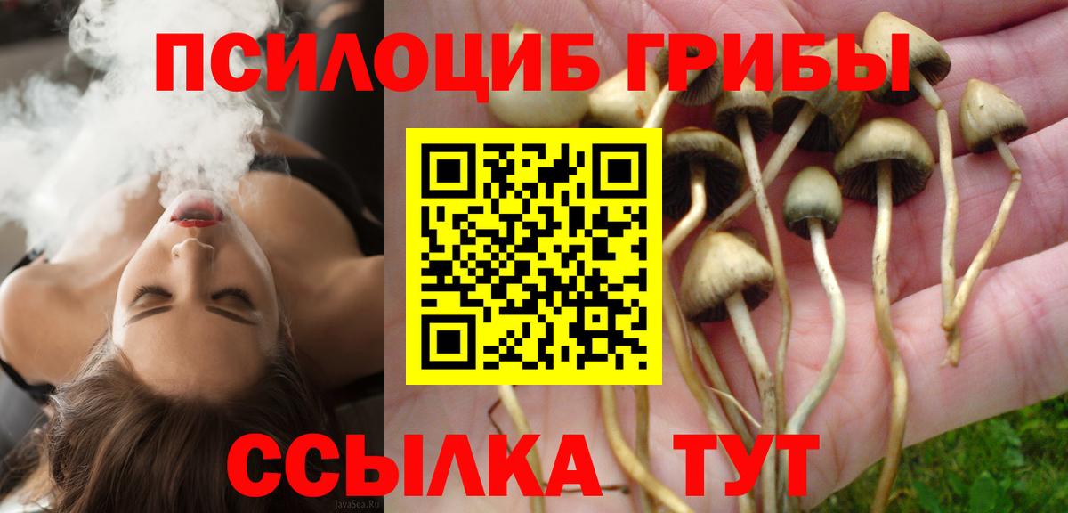 Псилоцибиновые грибы прущие грибы  Вход с VPN  Галлюциногенные грибы мицелий  Петропавловск-Камчатский 